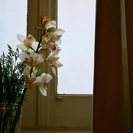 Palazzo Beau Bed & Breakfast 2*